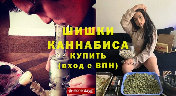 трава Арсеньев